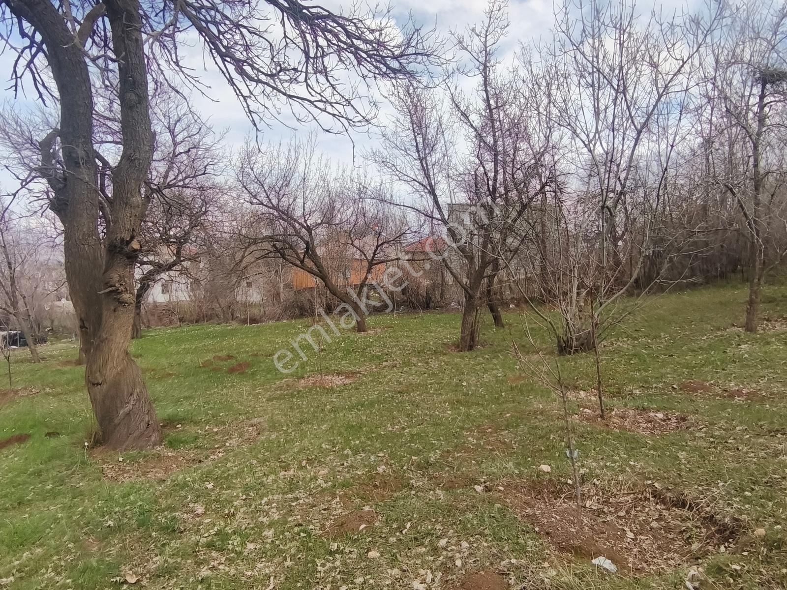 Gevaş Merkez Orta Mahallede Satılık Arsa - Görsel 9