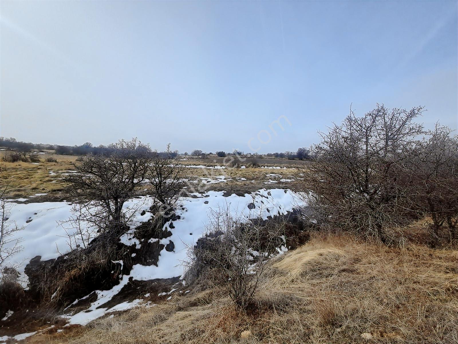Lg'den Kalkantepe Köyünde Yola Yakın 505 + 2277 M2 Hobi Bahçesi - Görsel 4