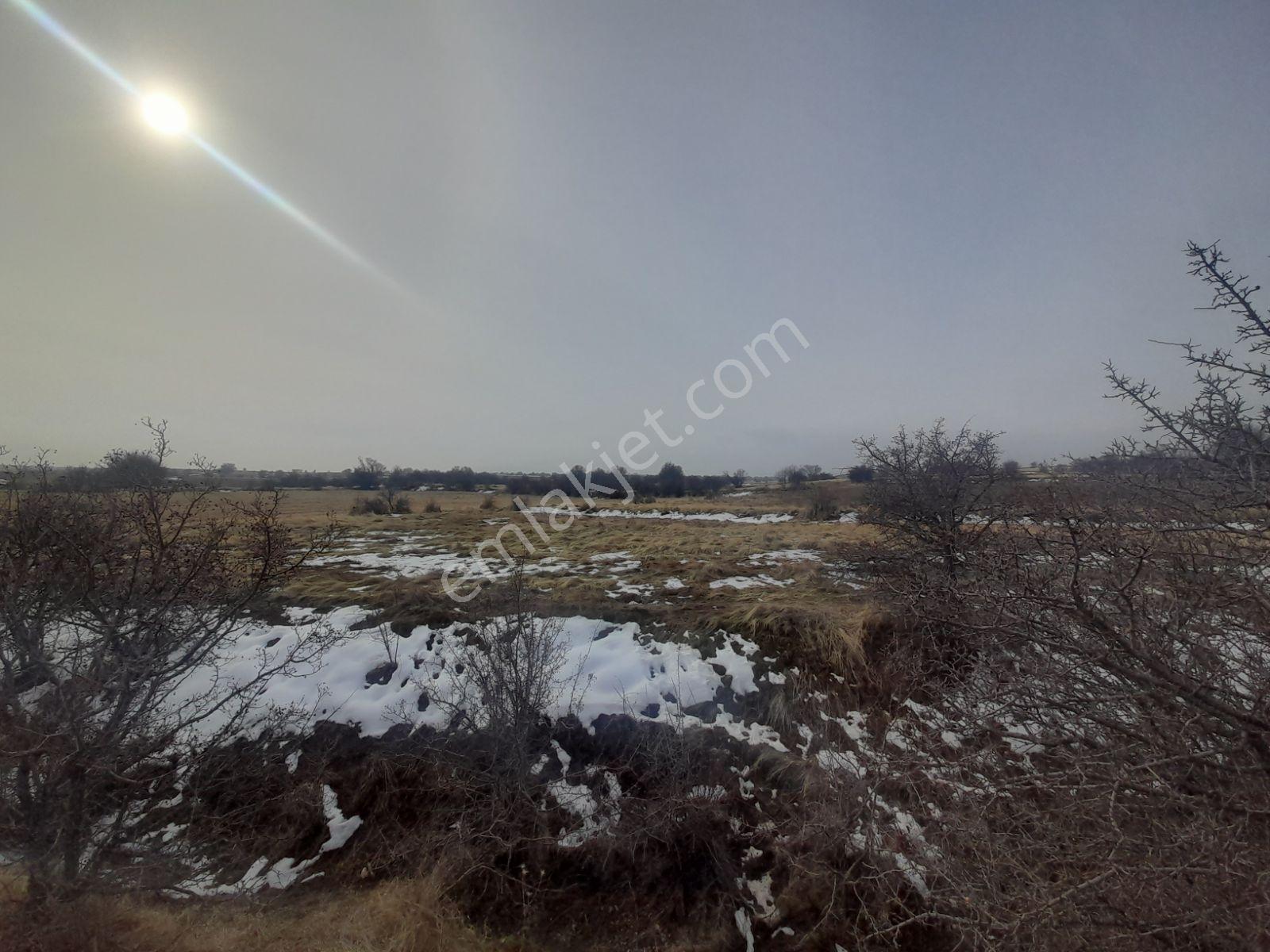 Lg'den Kalkantepe Köyünde Yola Yakın 505 + 2277 M2 Hobi Bahçesi - Görsel 9