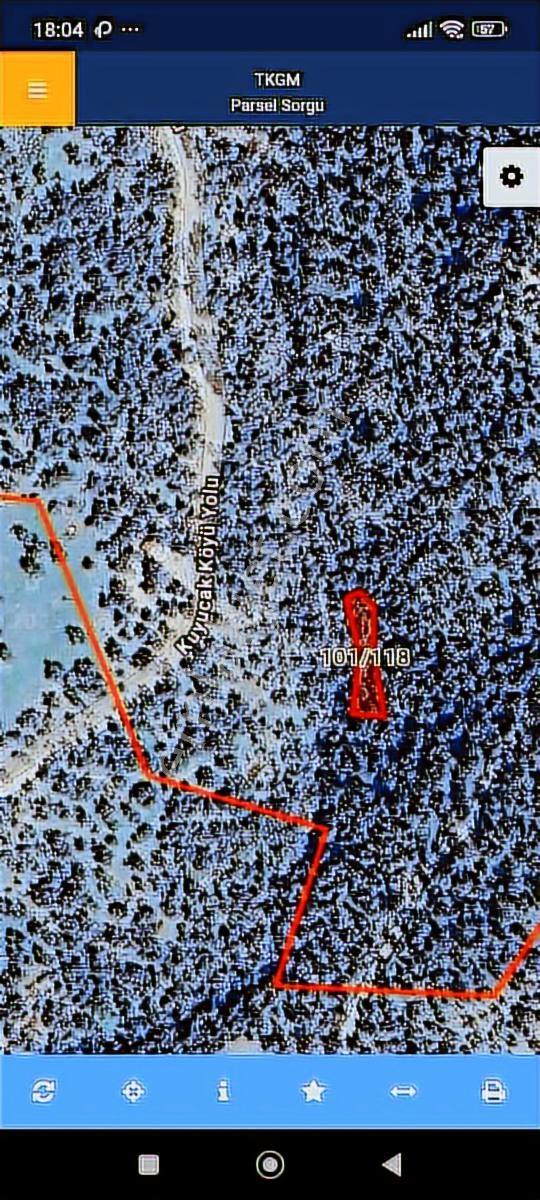 Burhaniye Kuyucakta Acil Satılık Zeytinlik - Görsel 9