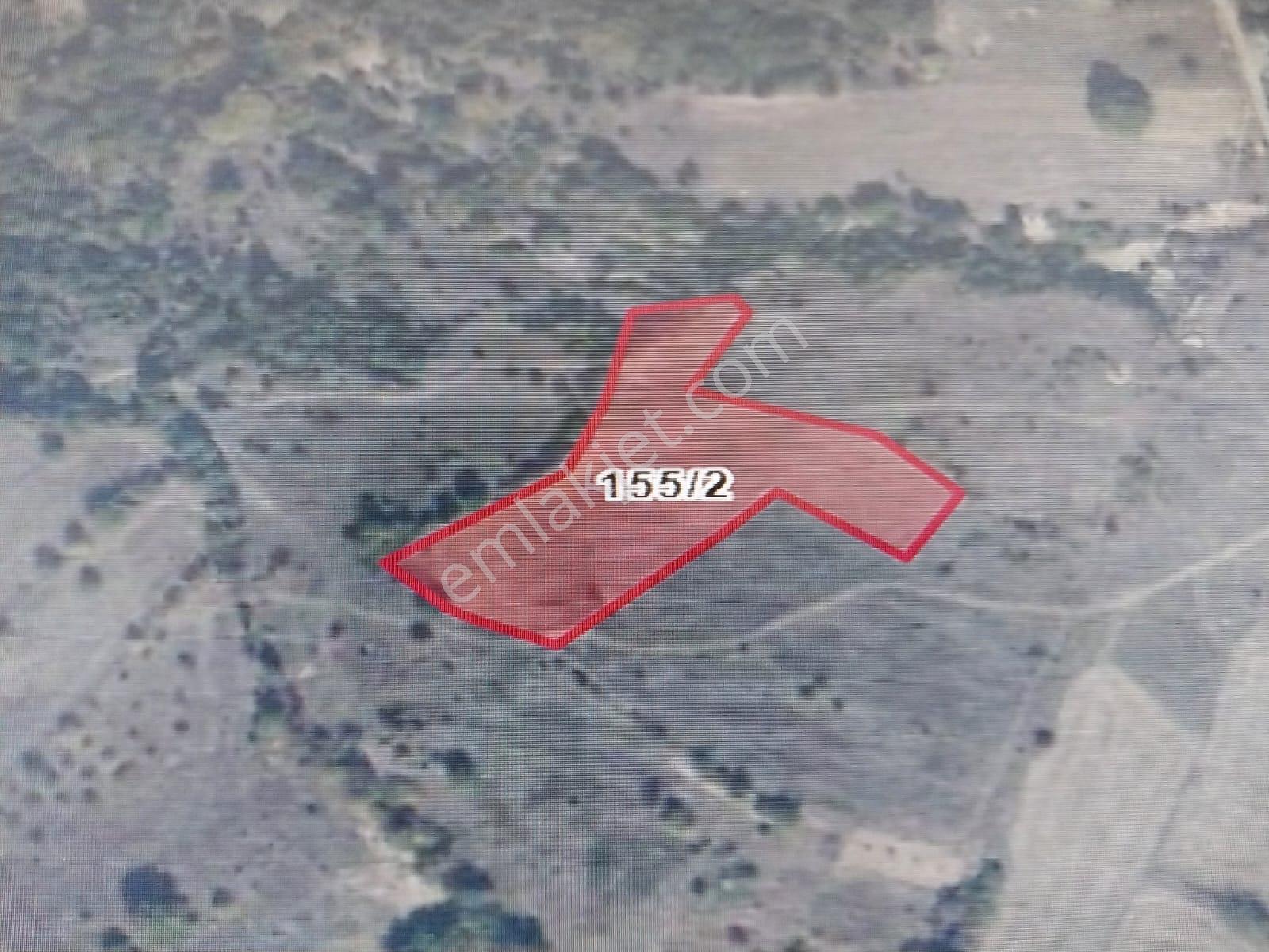 Bilecik Yenipazar Kuşça Köyü Satılık Takaslı 6707 M² Arazi - Görsel 5