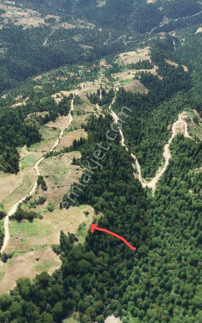Sakarya Geyve'de 7.600 M2 Fırsat Arazi - Görsel 3