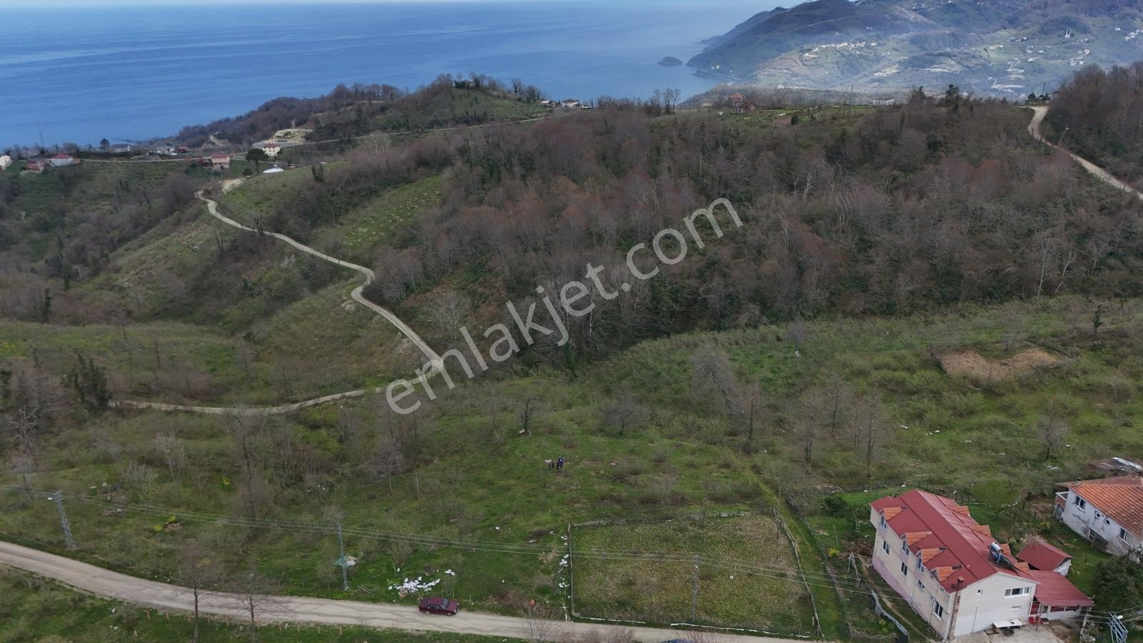 Ordu Perşembe Çaytepe De Hoynat Ve Yason Manzaralı Satılık Arsa - Görsel 3