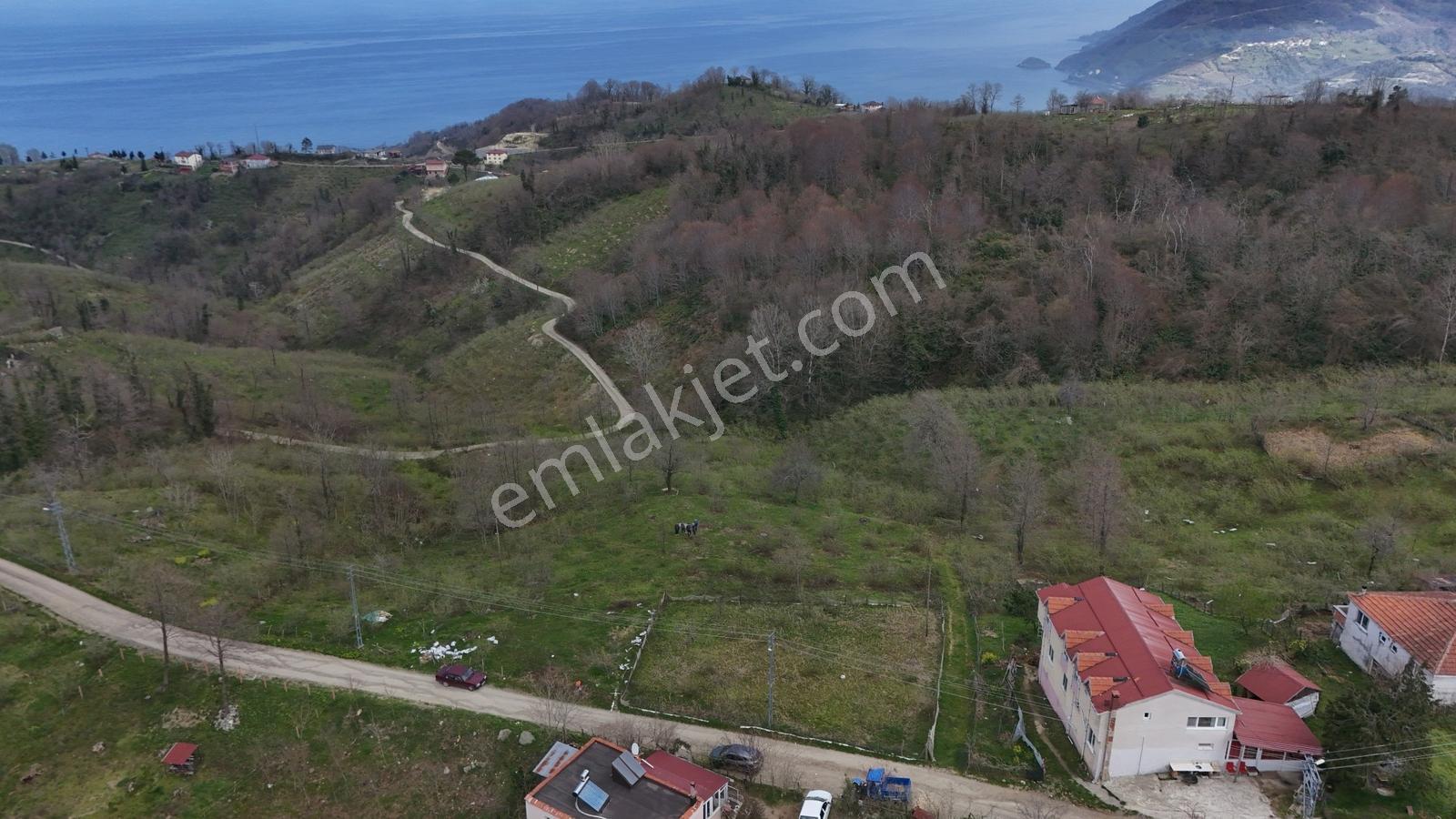 Ordu Perşembe Çaytepe De Hoynat Ve Yason Manzaralı Satılık Arsa - Görsel 7