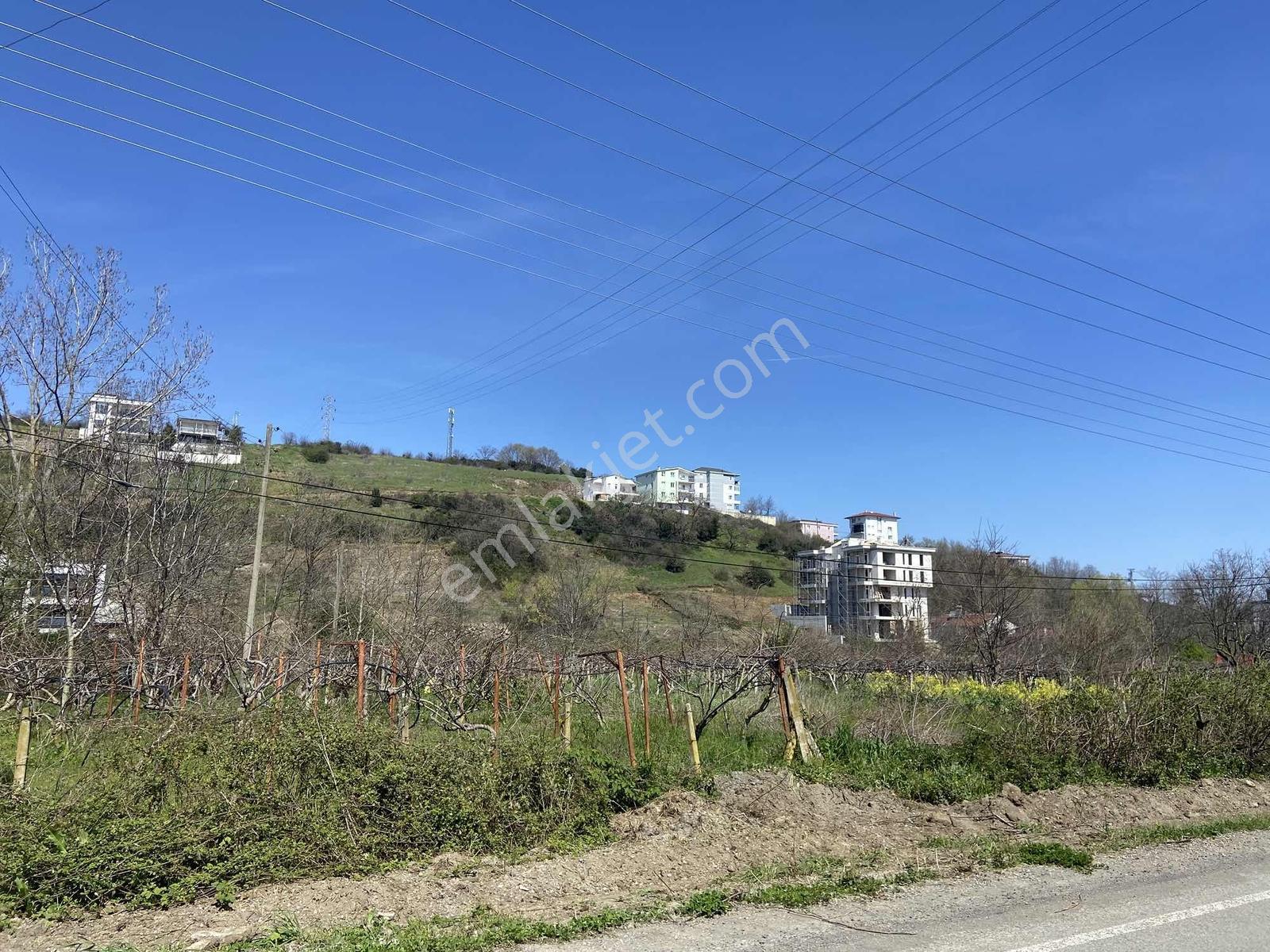 Büşra'dan Taflan'da 5 Kat İmarlı Arsa - Görsel 9