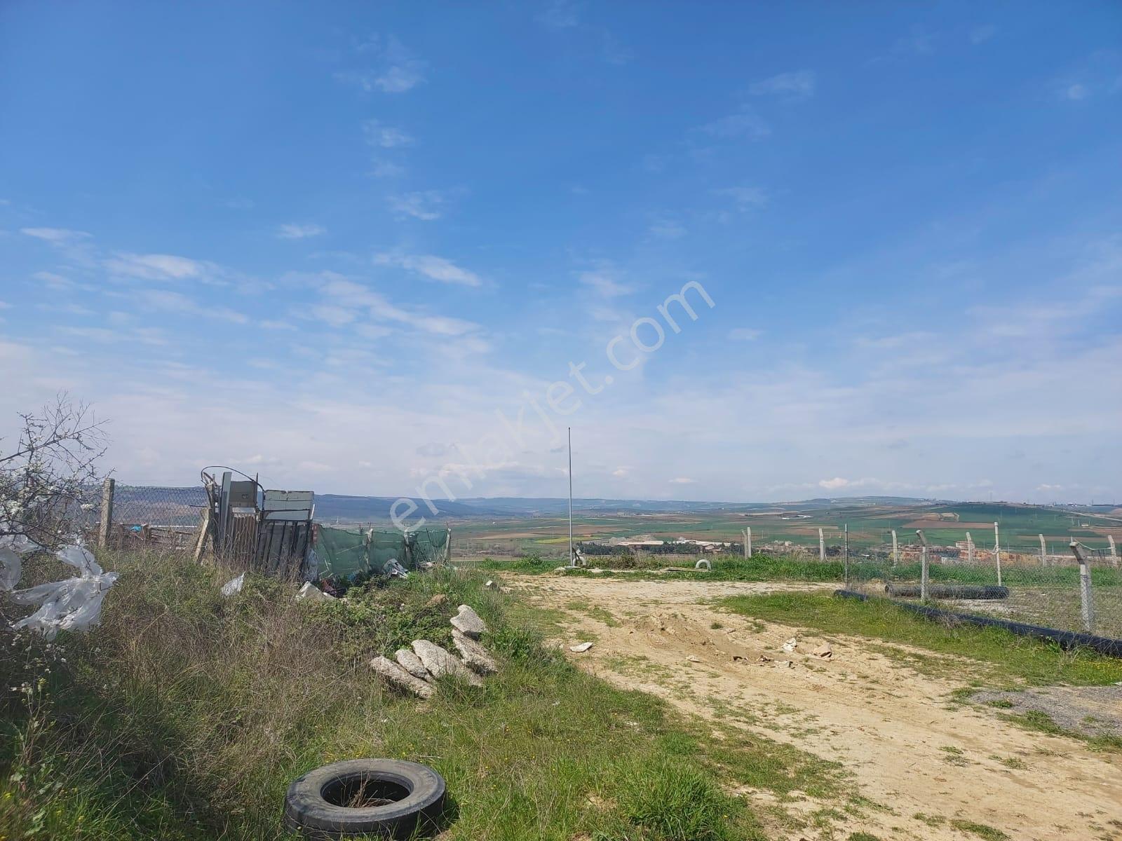 Tuğra'dan Kumbağ'da Deniz Manzaralı Tek Tapu Köşe Arsa - Görsel 22