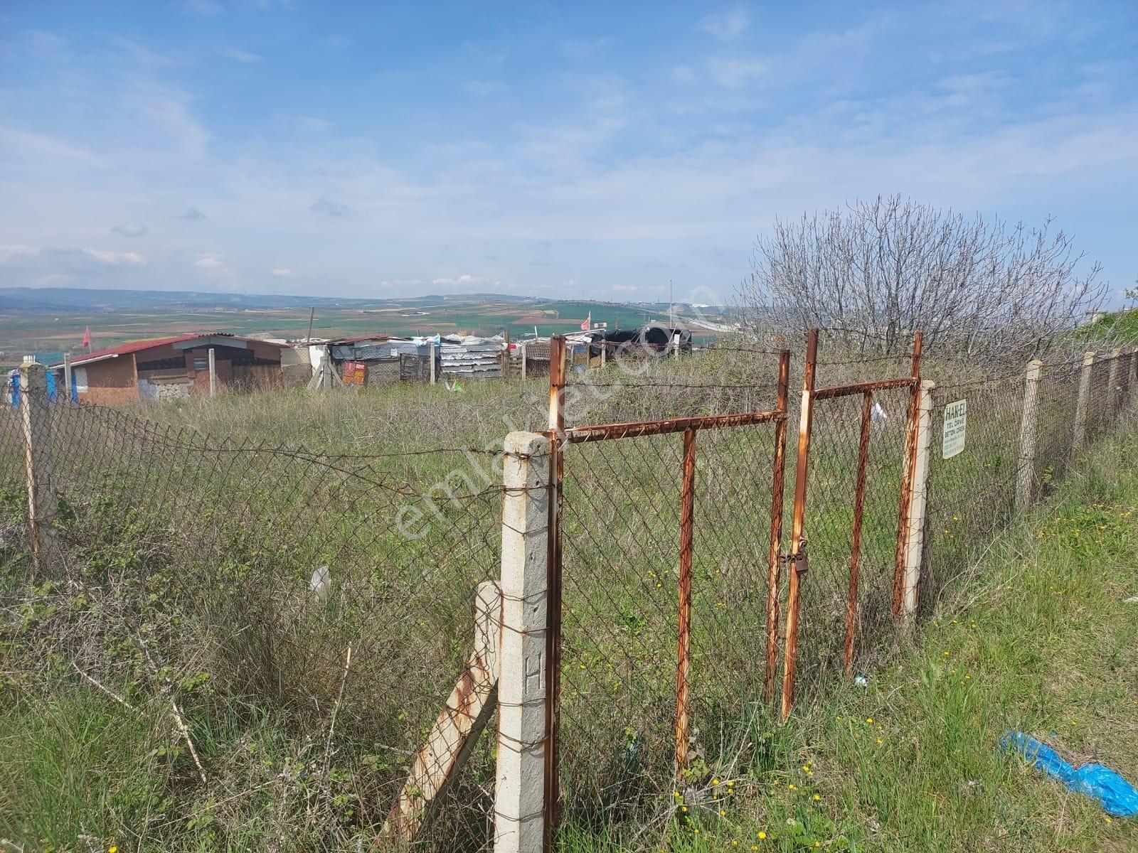 Tuğra'dan Kumbağ'da Deniz Manzaralı Tek Tapu Köşe Arsa - Görsel 26