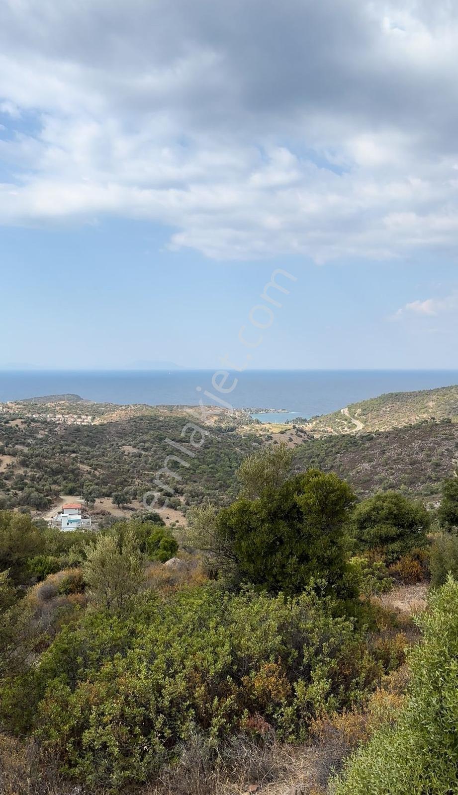 Foça Sazlıca Mevkiinde Satılık Deniz Manzaralı Arsa - Görsel 20