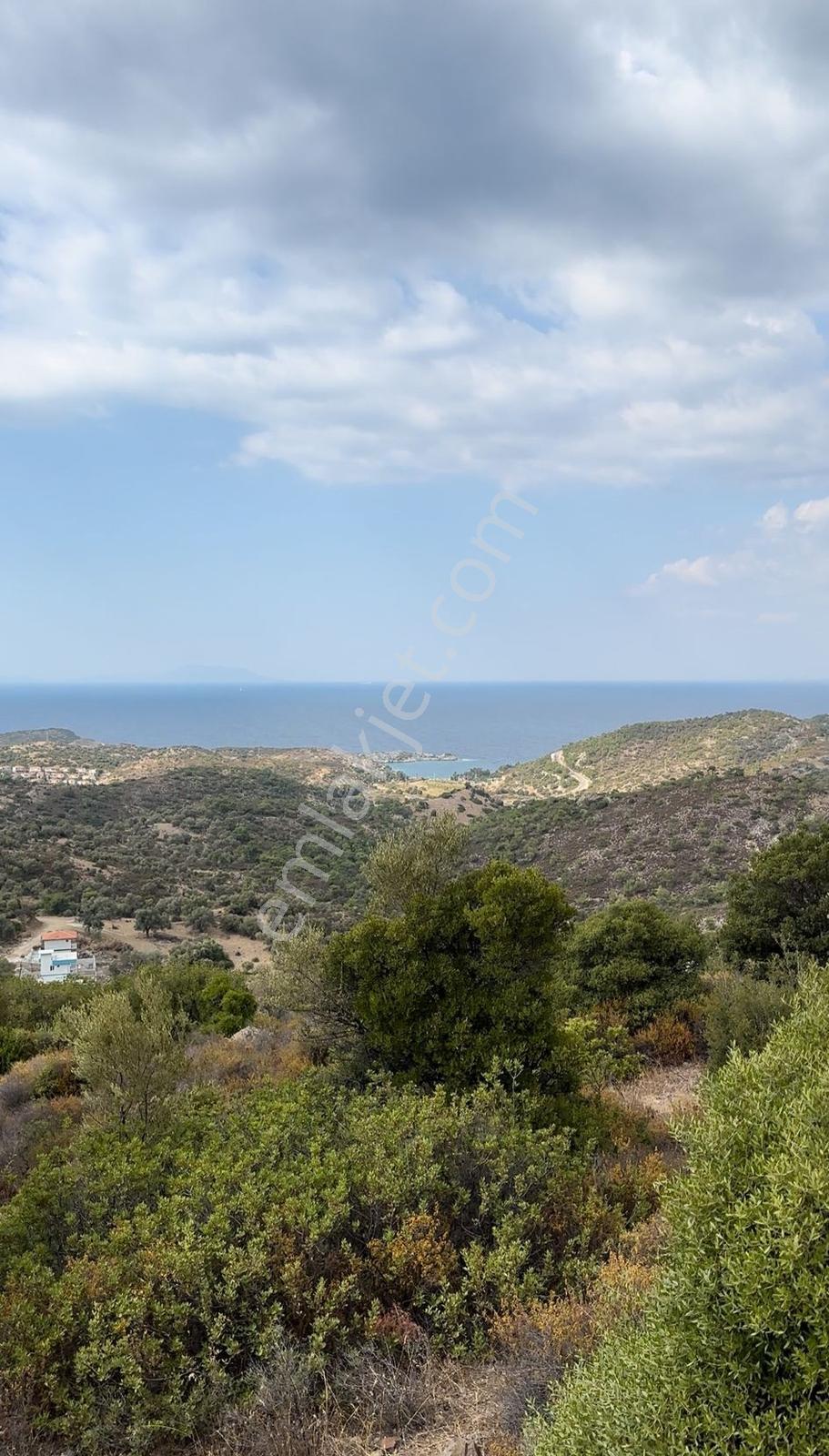 Foça Sazlıca Mevkiinde Satılık Deniz Manzaralı Arsa - Görsel 21