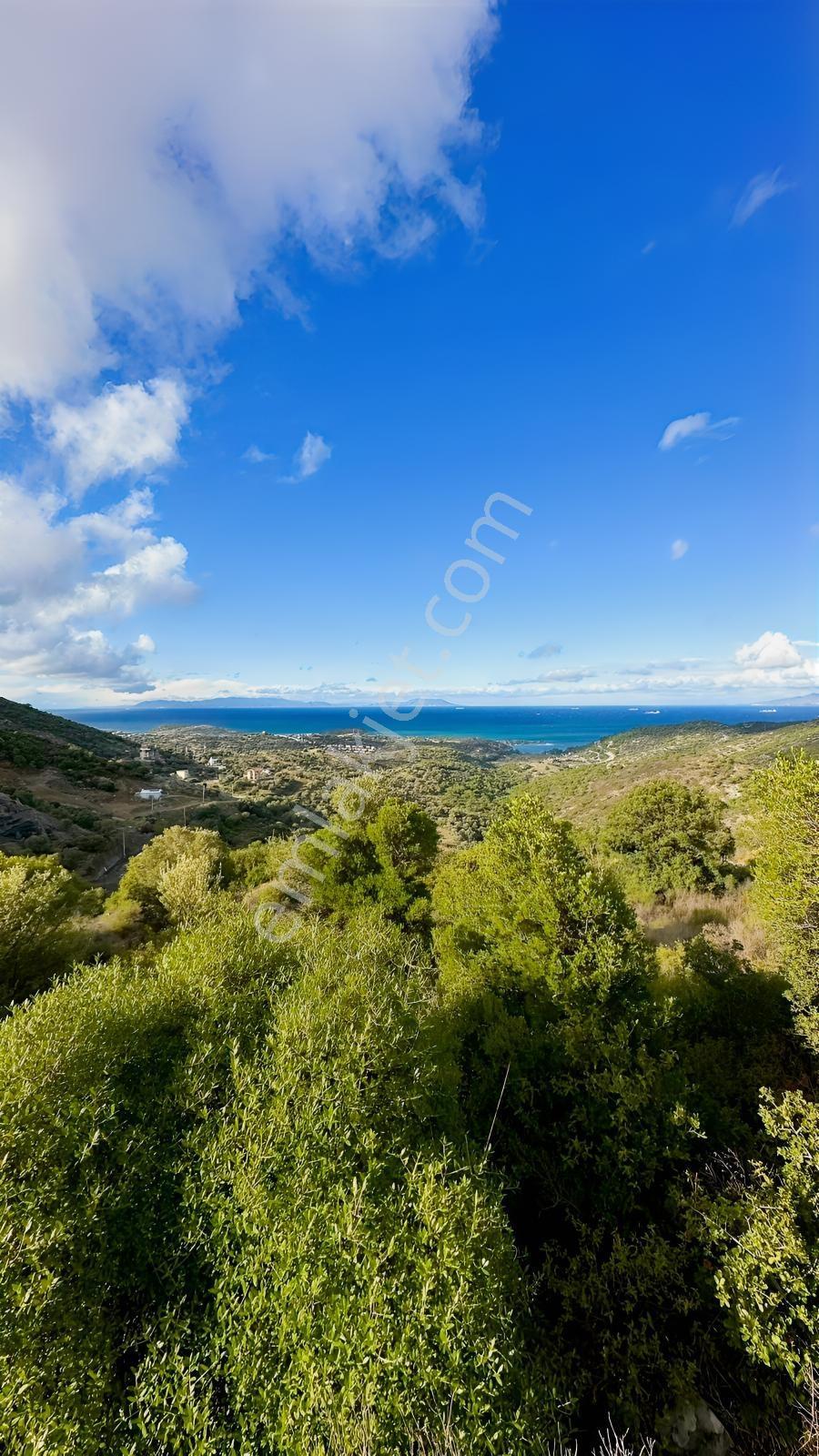 Foça Sazlıca Mevkiinde Satılık Deniz Manzaralı Arsa - Görsel 7