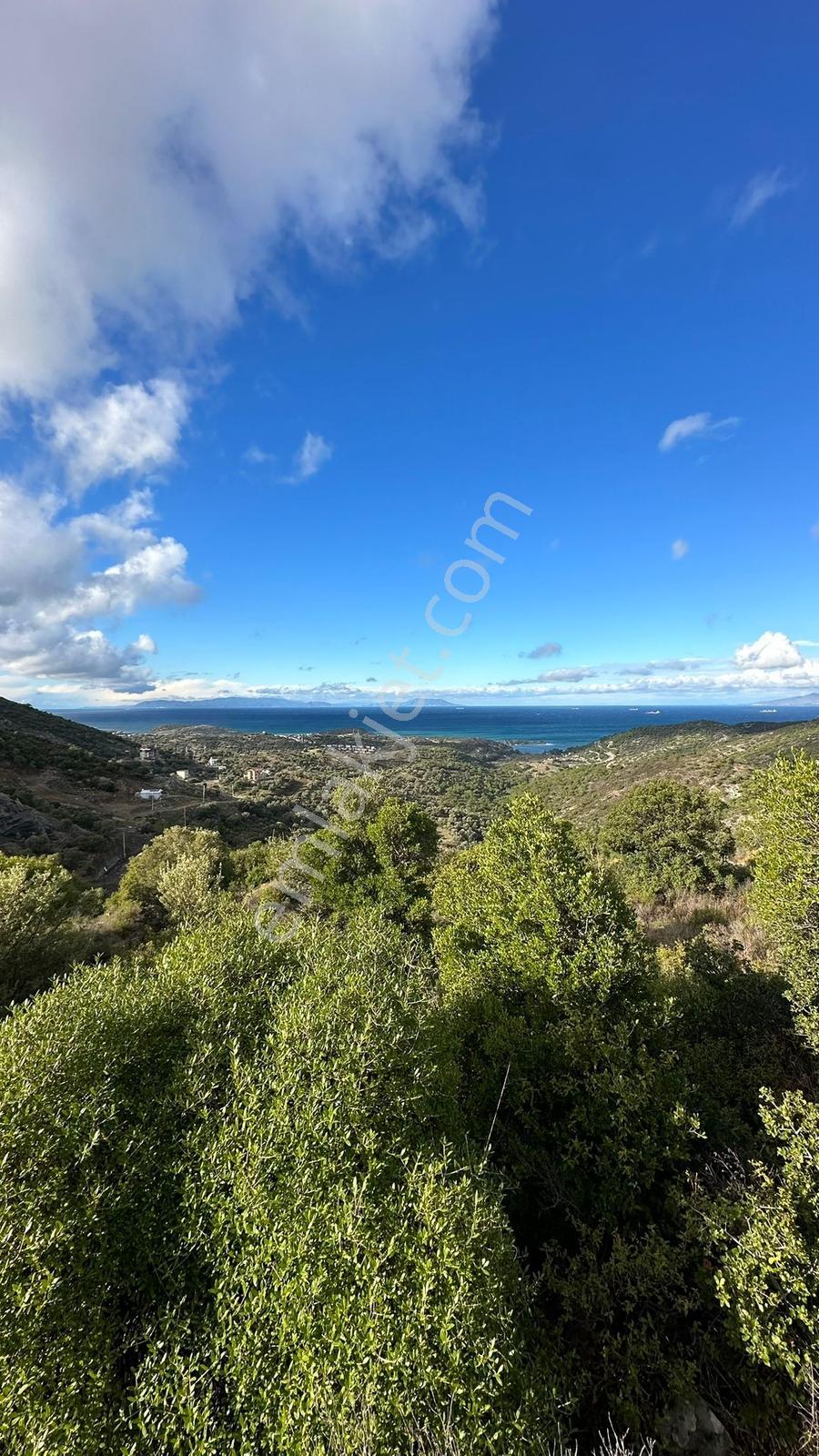 Foça Sazlıca Mevkiinde Satılık Deniz Manzaralı Arsa - Görsel 32