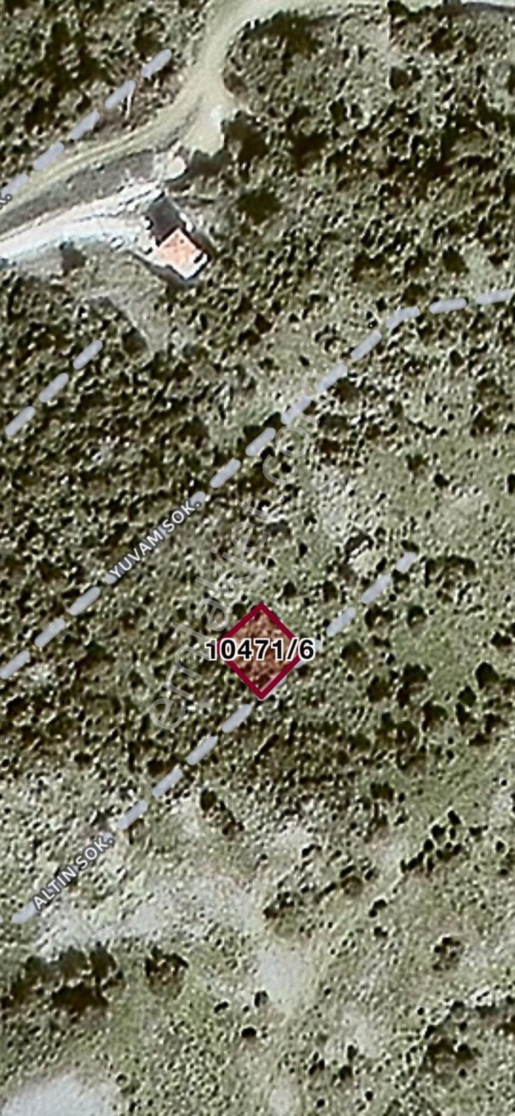 Foça Sazlıca Mevkiinde Satılık Deniz Manzaralı Arsa - Görsel 12