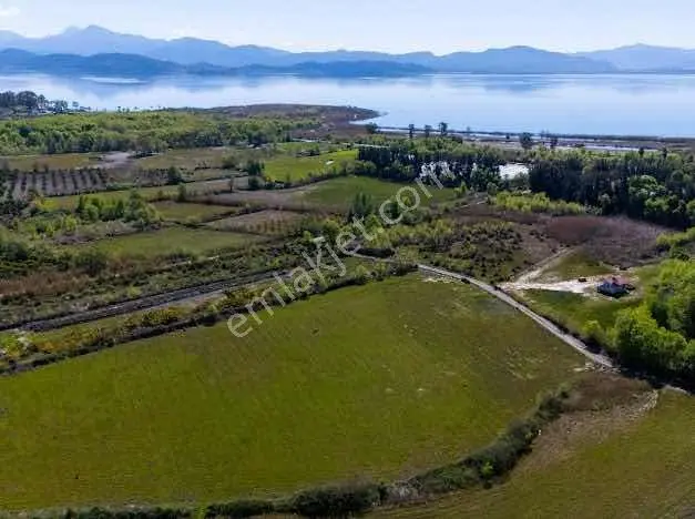 Muğla Köyceğiz De Göle Yakın Müstakil 6.5 Dönüm Tarla - Görsel 13