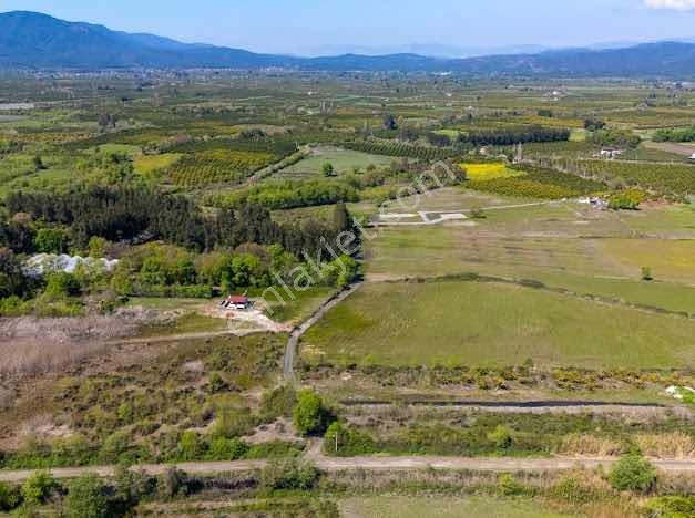 Muğla Köyceğiz De Göle Yakın Müstakil 6.5 Dönüm Tarla - Görsel 12