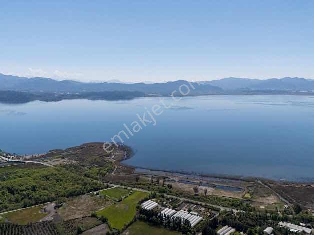 Muğla Köyceğiz De Göle Yakın Müstakil 6.5 Dönüm Tarla - Görsel 4