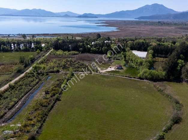 Muğla Köyceğiz De Göle Yakın Müstakil 6.5 Dönüm Tarla - Görsel 8