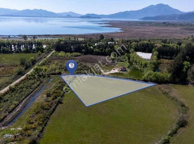 Muğla Köyceğiz De Göle Yakın Müstakil 6.5 Dönüm Tarla - Görsel 9