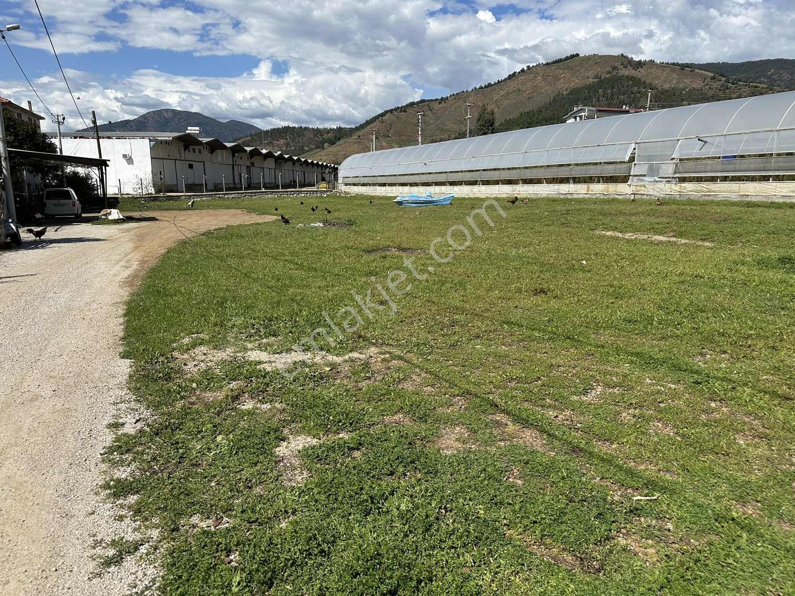 Fethiye Karaçulhada Fırsat Kupon 2650 M2 Tarla - Görsel 16