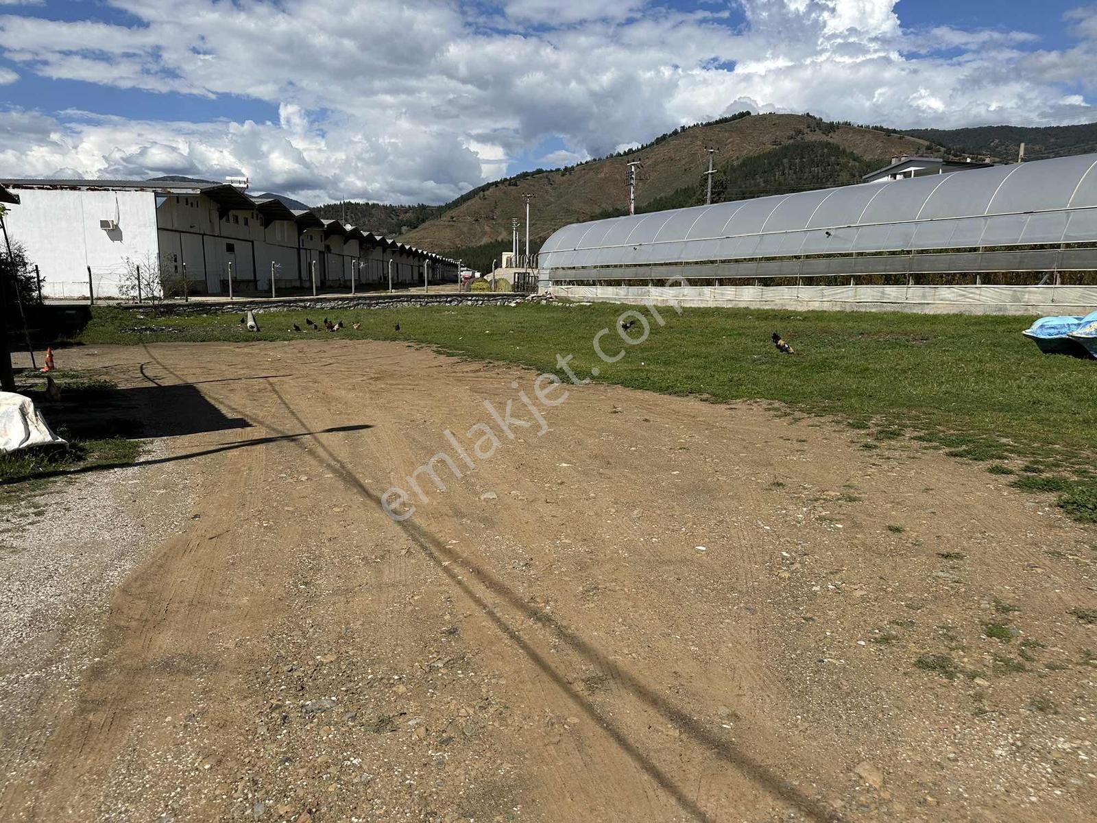 Fethiye Karaçulhada Fırsat Kupon 2650 M2 Tarla - Görsel 7