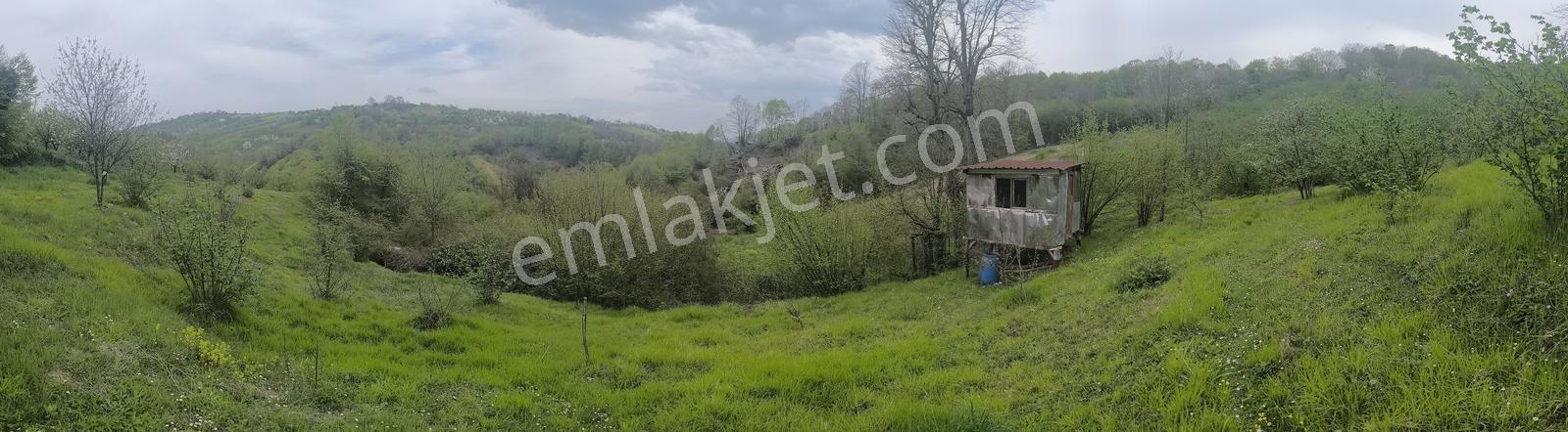 Re/max True ' Dan Avluburun Köyünd Yatırımlık Fırsat Tarla - Görsel 13