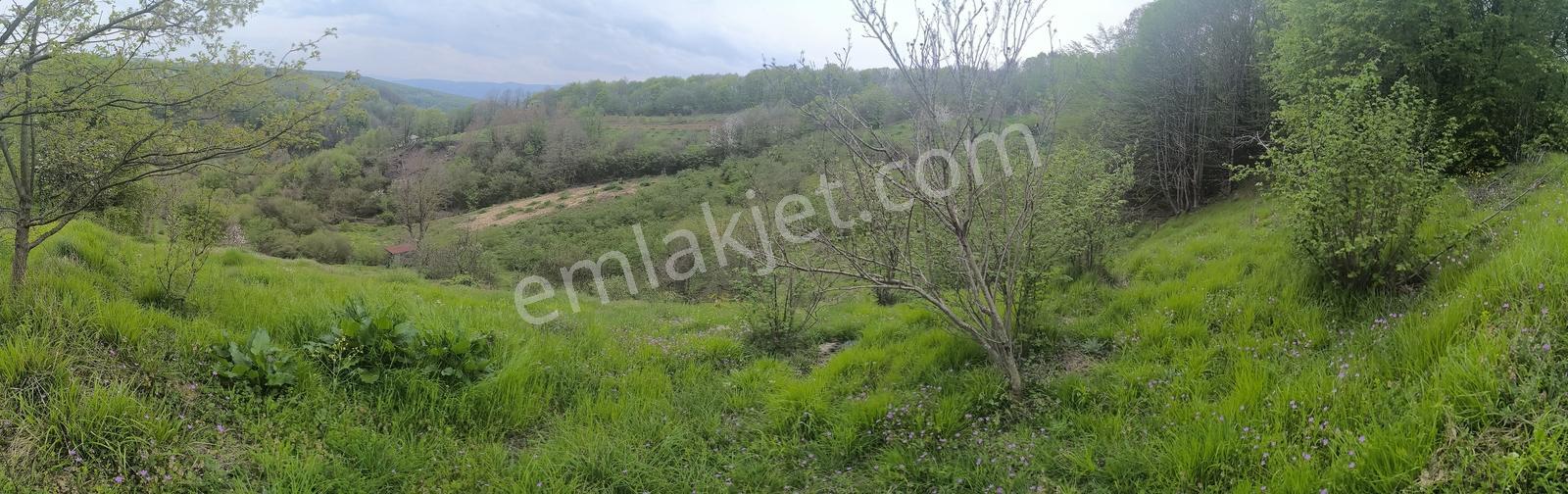 Re/max True ' Dan Avluburun Köyünd Yatırımlık Fırsat Tarla