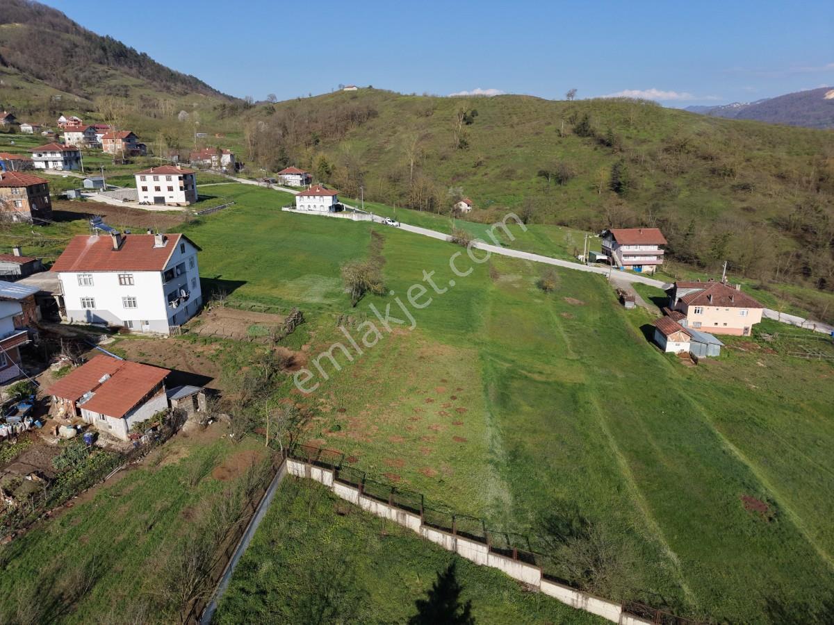 Düzce Yığılca Merkezde Konut İmarlı Yol Kenarı Satılık Parseller - Görsel 8