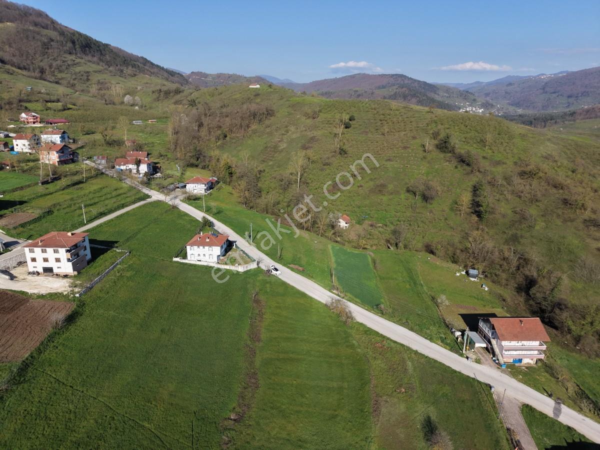 Düzce Yığılca Merkezde Konut İmarlı Yol Kenarı Satılık Parseller - Görsel 12