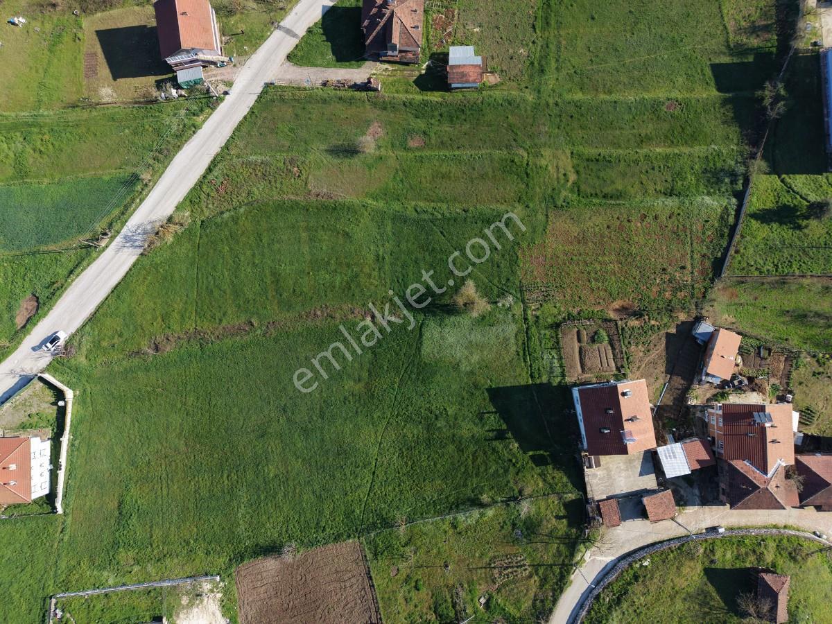 Düzce Yığılca Merkezde Konut İmarlı Yol Kenarı Satılık Parseller - Görsel 16