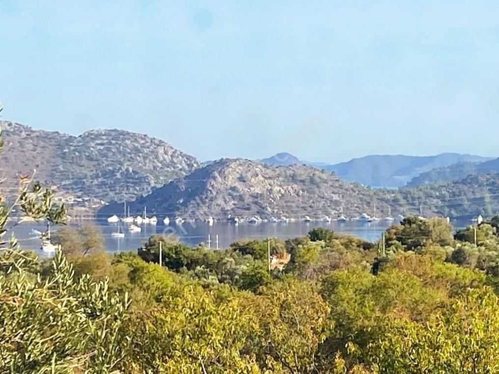 Selimiye'de Deniz Manzaralı 425 M2 Satılık Tarla Vasıflı Arazi
