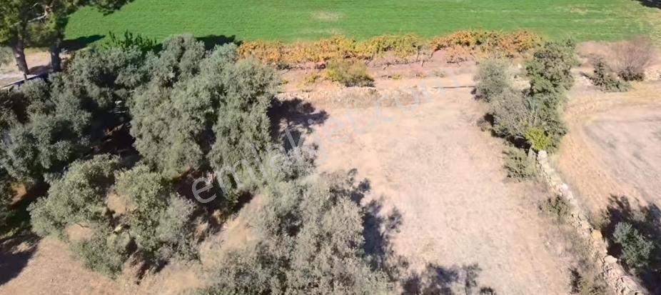 İnceoğlu'ndan Muğla Milas İlçesi Kuzyaka'da Satılık Tarla - Görsel 7
