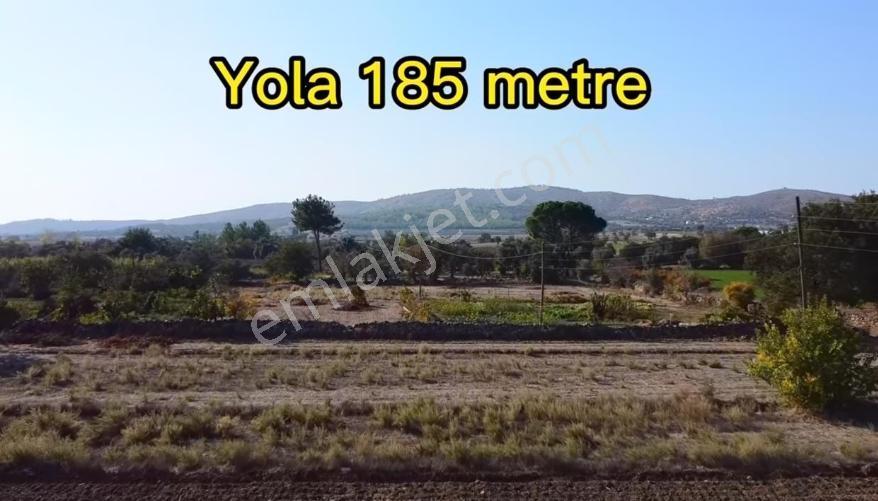 İnceoğlu'ndan Muğla Milas İlçesi Kuzyaka'da Satılık Tarla - Görsel 2