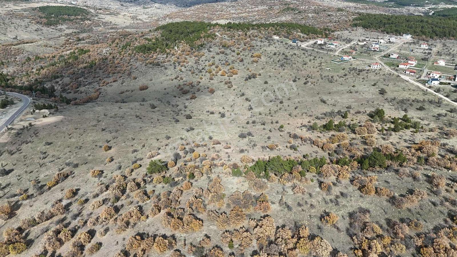 Çamlıdere Beyler'de Taş Duvarı Çekilmiş 600m2 İmarlı Arsa - Görsel 28