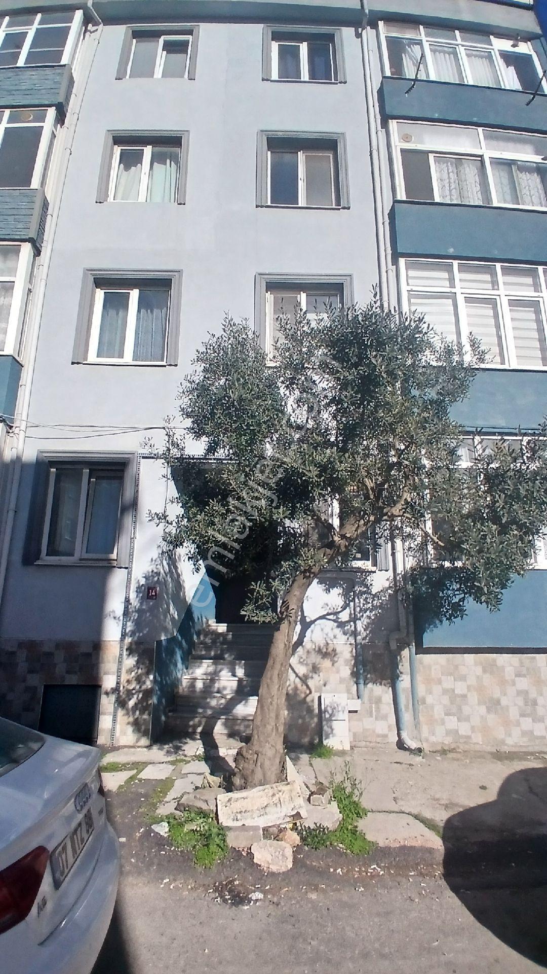 İhsaniye Mahallesinde Masrafsız - Görsel 25