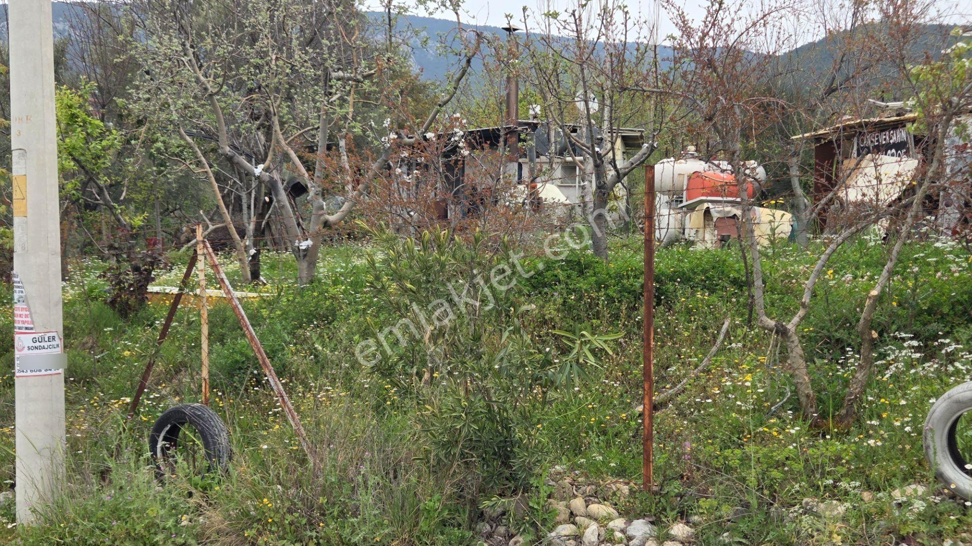 Buca Kırklar’da 1180 M² Zeytinli Tarla İçinde 50 M² Yapı Tam Tapu - Asfalt Cepheli Elekt Su Hazır - Görsel 24