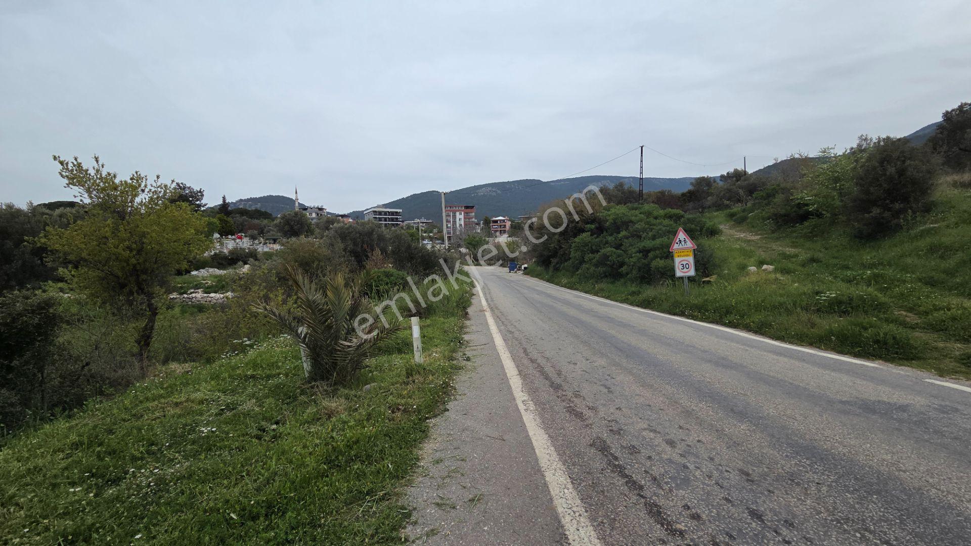 Buca Kırklar’da 1180 M² Zeytinli Tarla İçinde 50 M² Yapı Tam Tapu - Asfalt Cepheli Elekt Su Hazır - Görsel 19