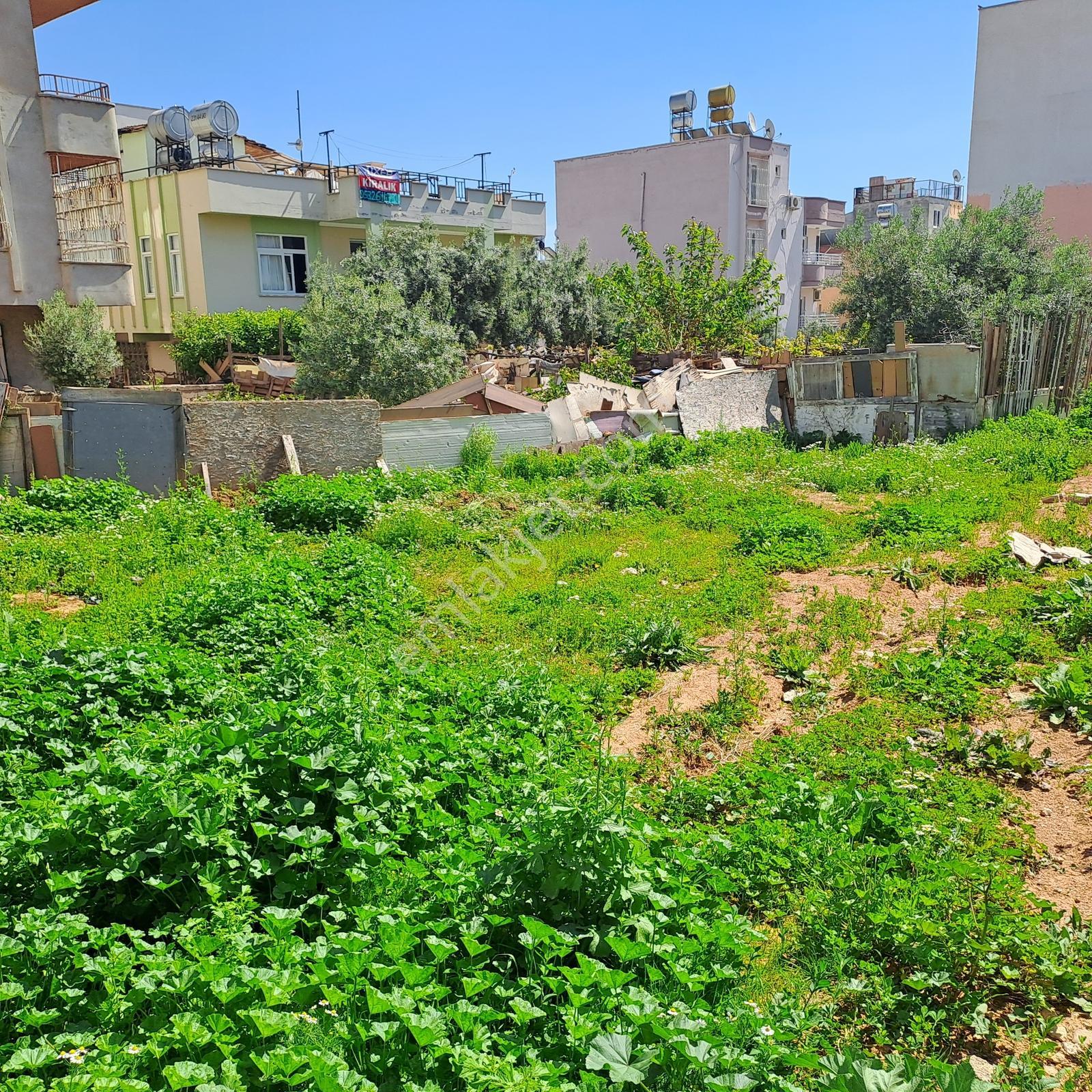 Asya' Dan İmarlı Arsa Yenişehir Eğriçam