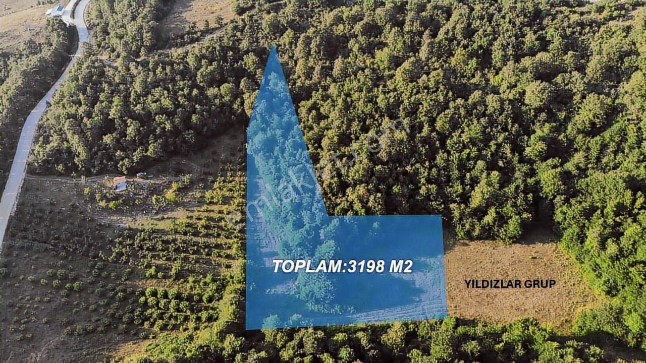 Körfez Dikenli 3200m2 Yüksek Kazançlı Tarla Daire Takasına Uygun - Görsel 7