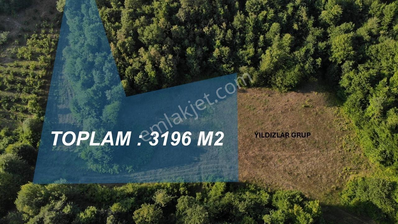 Körfez Dikenli 3200m2 Yüksek Kazançlı Tarla Daire Takasına Uygun - Görsel 4