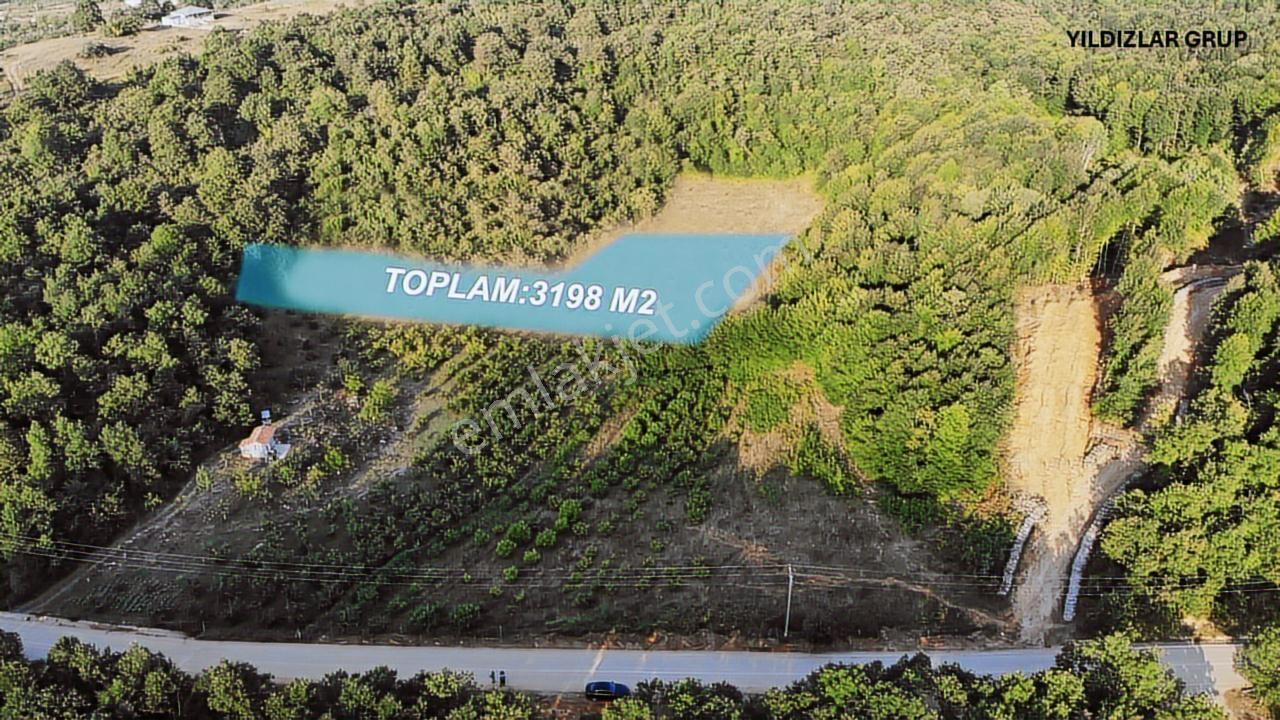 Körfez Dikenli 3200m2 Yüksek Kazançlı Tarla Daire Takasına Uygun - Görsel 10