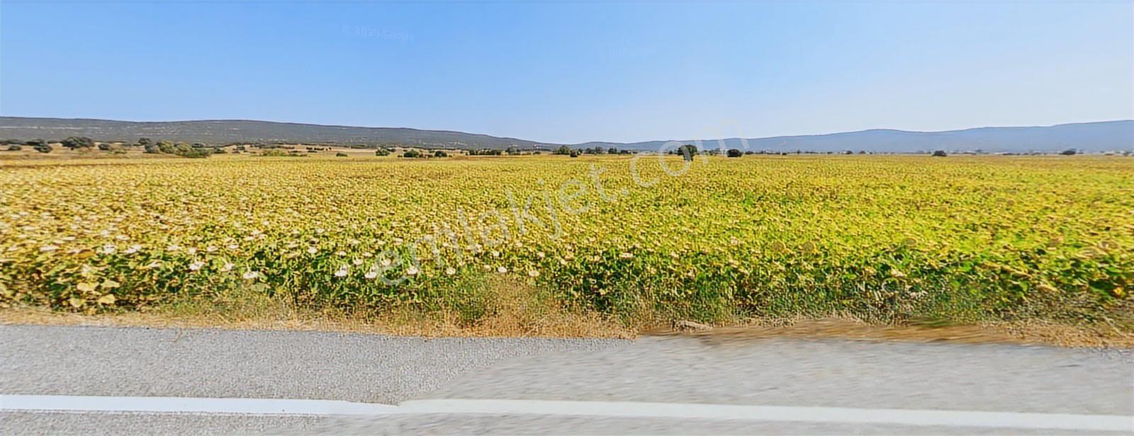 Çanakkale Eceabat Küçükanafartada Yatırımlık 4.363 M² Tarla - Görsel 16