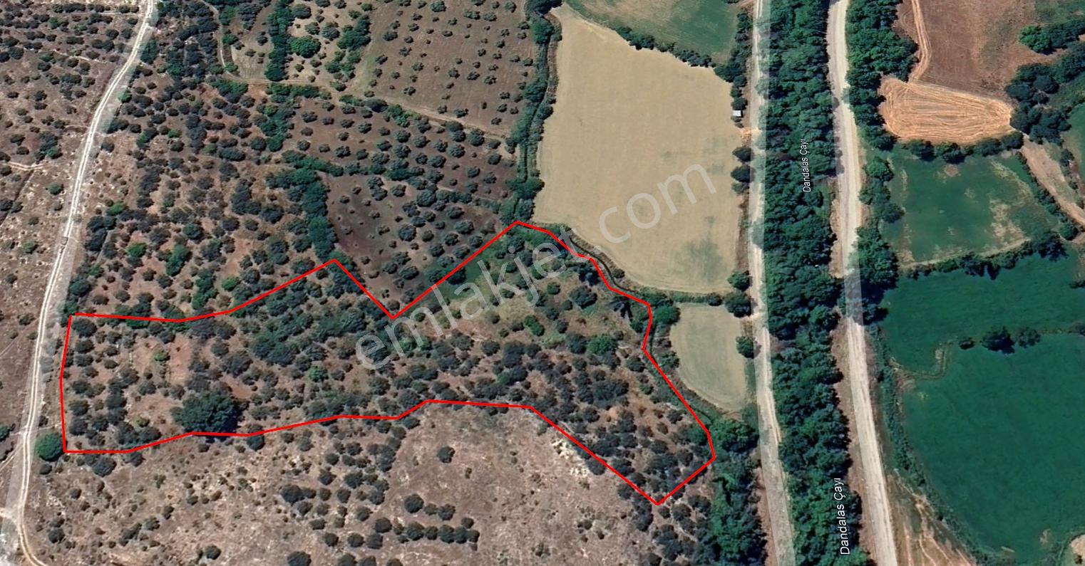 Daire Takaslı Sulu Zeytin Bahçesi 12.500 M2 - Görsel 4