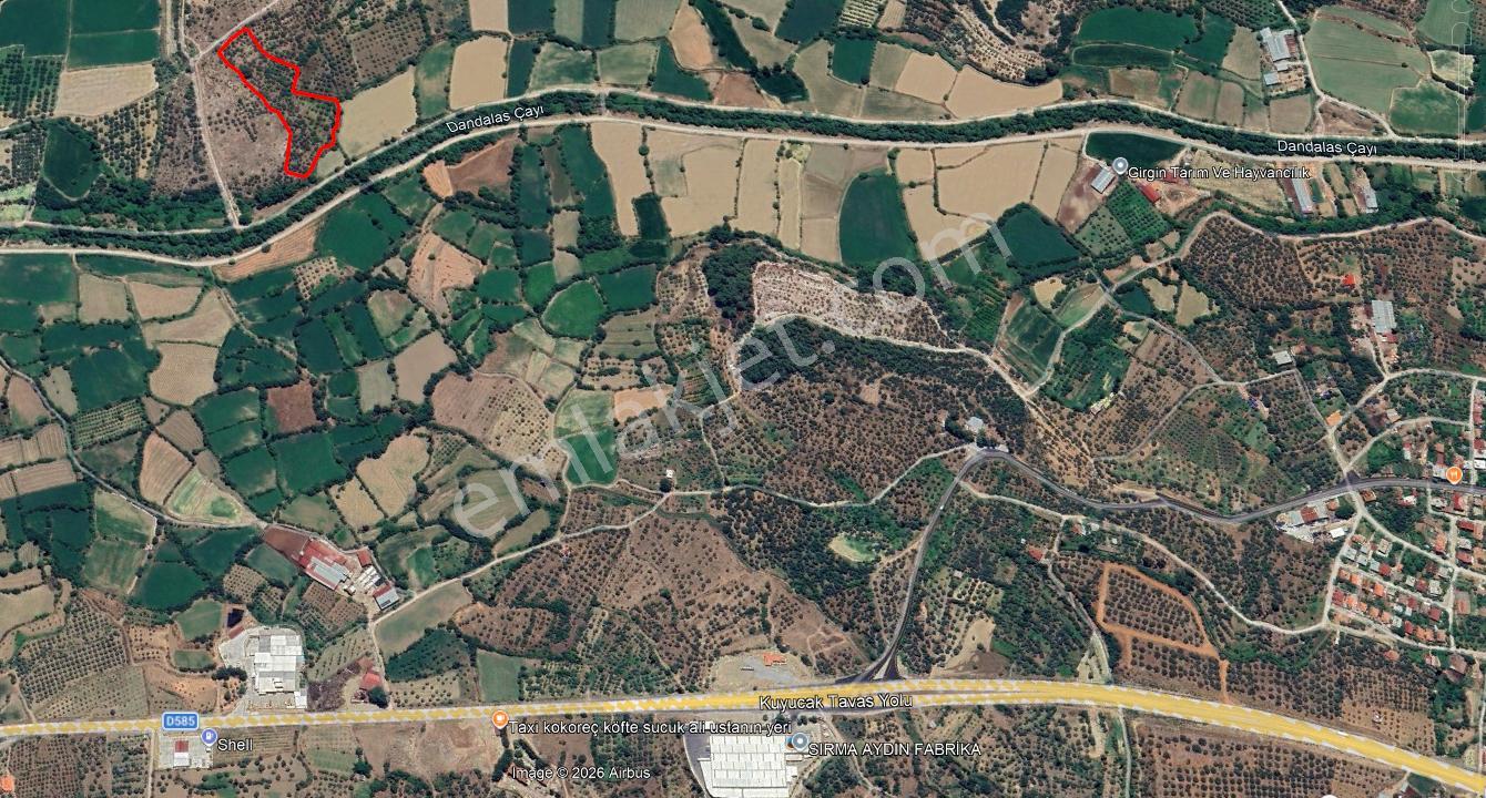 Daire Takaslı Sulu Zeytin Bahçesi 12.500 M2 - Görsel 12