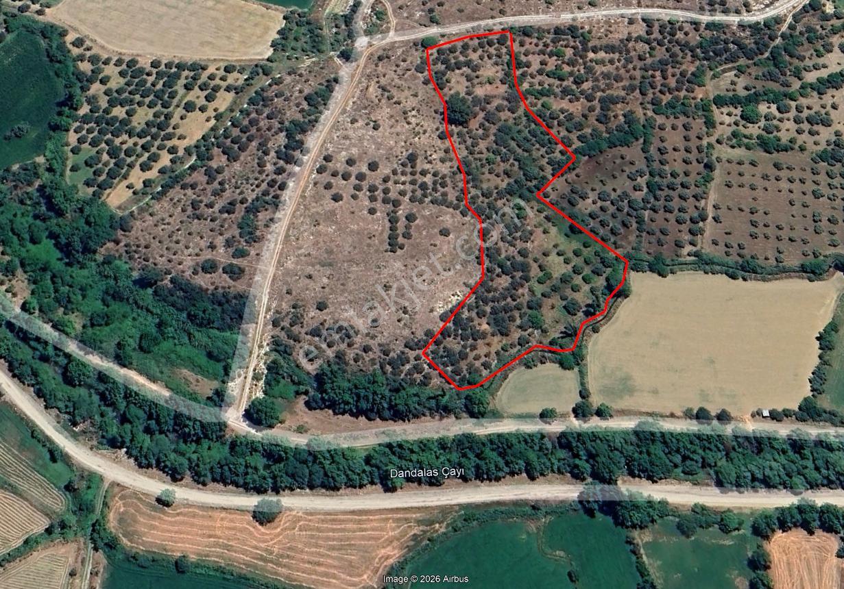 Daire Takaslı Sulu Zeytin Bahçesi 12.500 M2 - Görsel 11