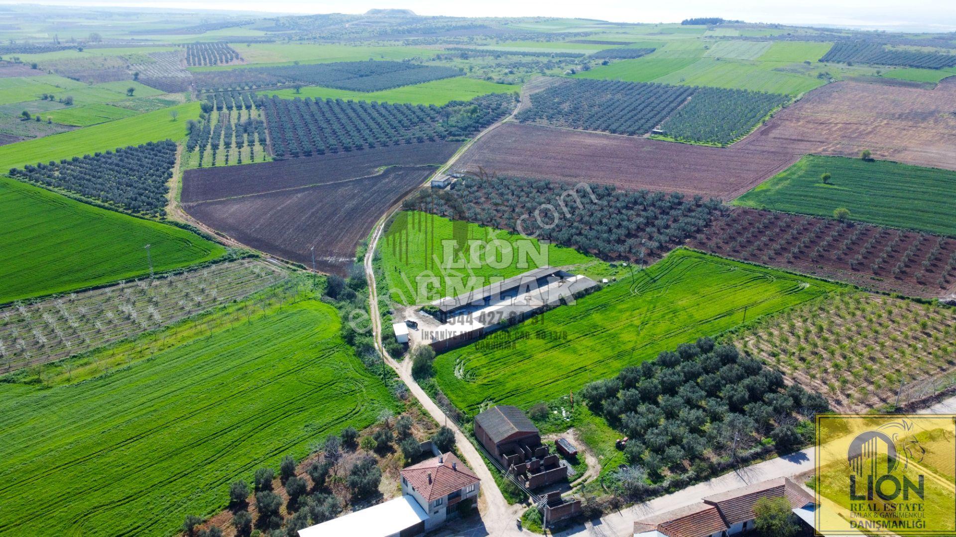 Lıon Emlak'tan Karacabey Danişmen'te İçerisinde Yarı Açık Tesis Olan Fırsat Tarla - Görsel 21