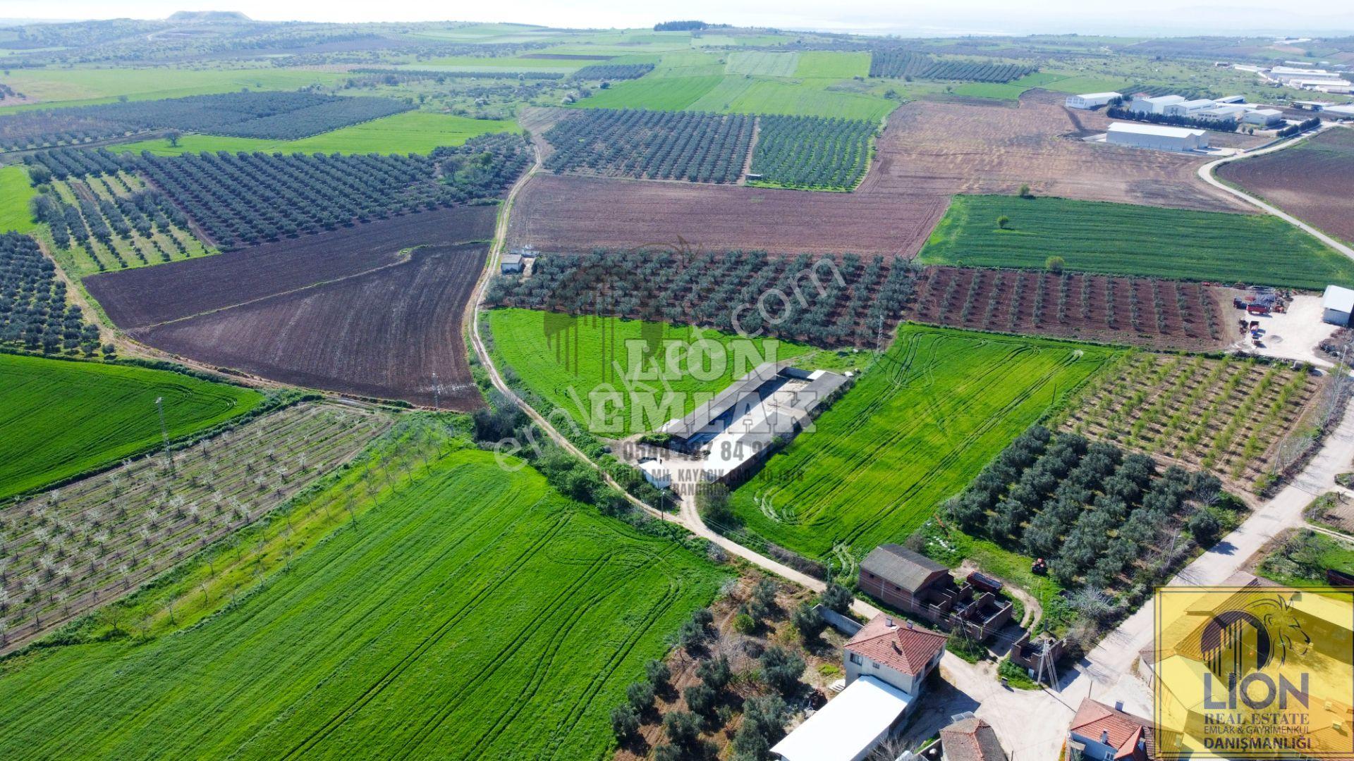 Lıon Emlak'tan Karacabey Danişmen'te İçerisinde Yarı Açık Tesis Olan Fırsat Tarla - Görsel 23