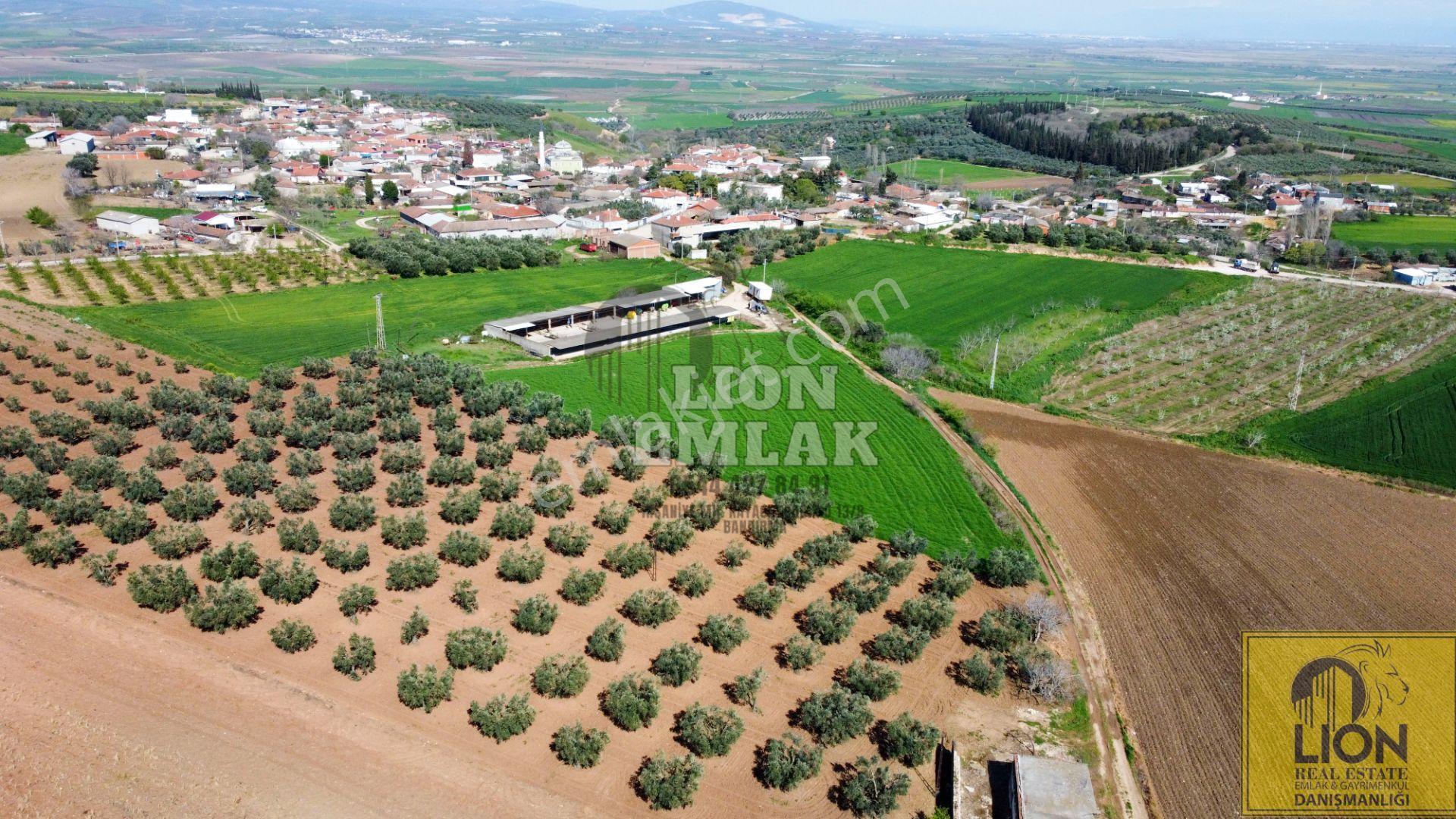 Lıon Emlak'tan Karacabey Danişmen'te İçerisinde Yarı Açık Tesis Olan Fırsat Tarla - Görsel 10