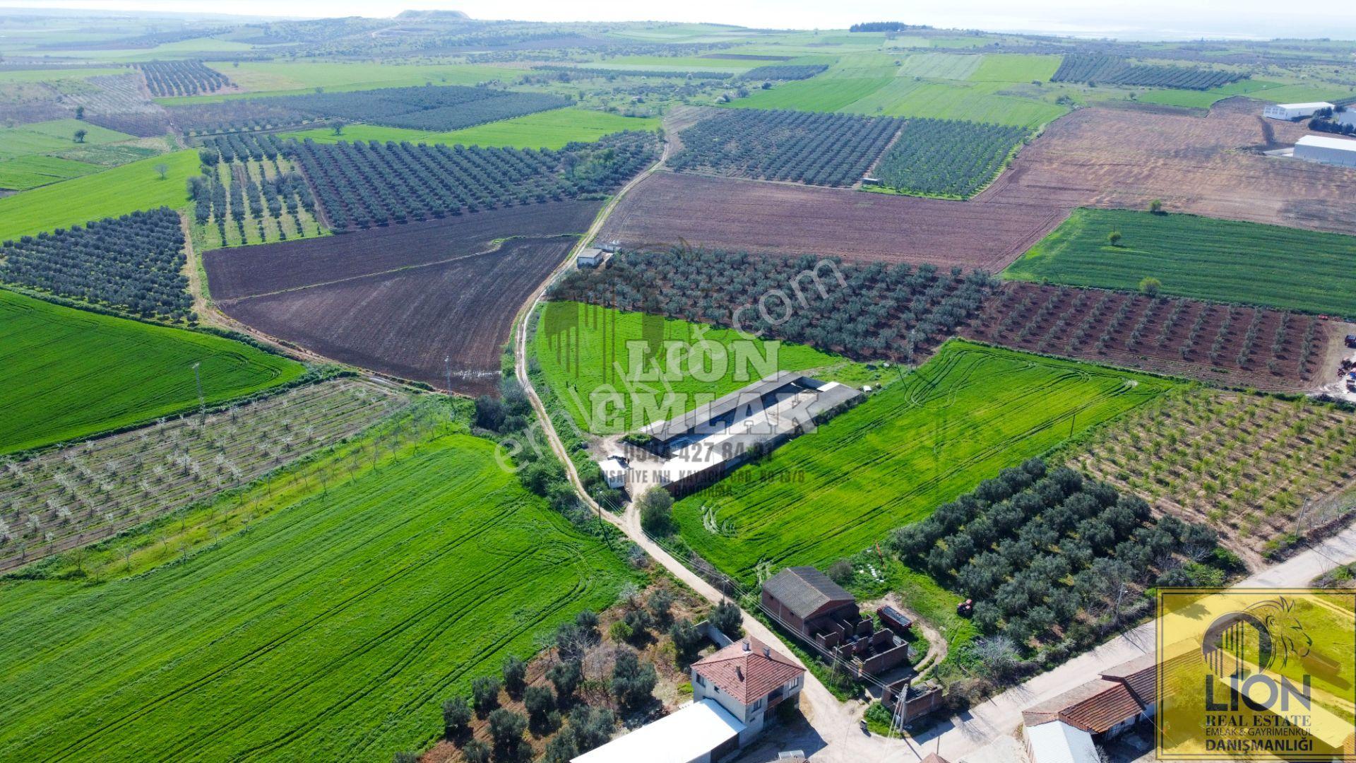 Lıon Emlak'tan Karacabey Danişmen'te İçerisinde Yarı Açık Tesis Olan Fırsat Tarla - Görsel 22