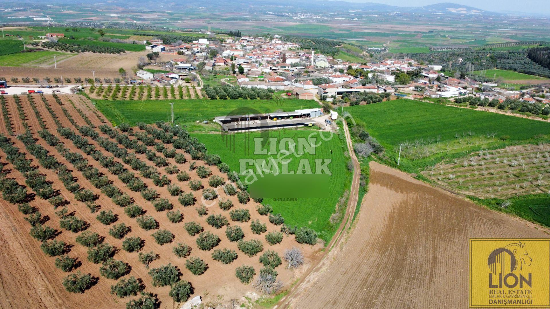 Lıon Emlak'tan Karacabey Danişmen'te İçerisinde Yarı Açık Tesis Olan Fırsat Tarla - Görsel 8