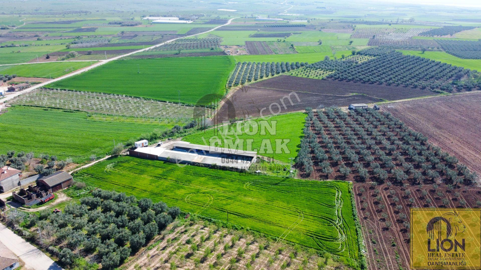 Lıon Emlak'tan Karacabey Danişmen'te İçerisinde Yarı Açık Tesis Olan Fırsat Tarla - Görsel 17