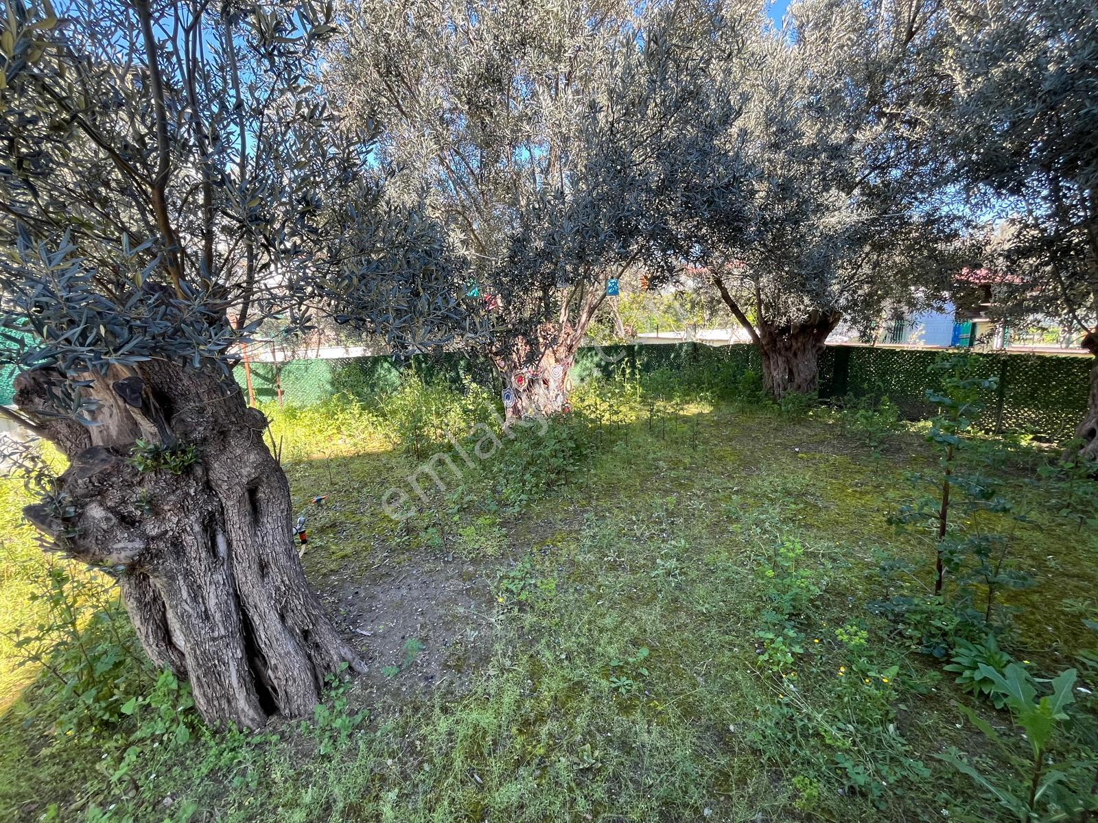 İlkbahar Dan Altınoluk Merkezde 3+1 Geniş Bahçeli Garajlı Villa - Görsel 34